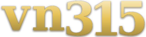 vn315 logo
